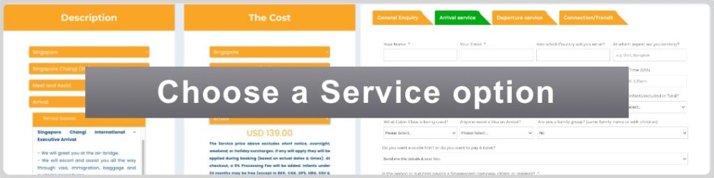 See our Africa FastTrack Airport VIP Services & Prices available.  Then Choose a Service Option you want.